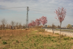 0009-2009-03-27-CENTRO-BREAK-PRIMA-DEI-LAVORI-PARCO-CIRCUITO-CAMPO-GOLF