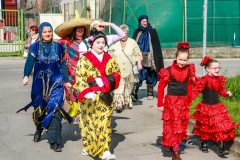 0005-2014-03-09-SFILATA-CARRI-CARNEVALE-LENO-PARTE-1°