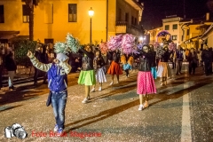 0076-2017-02-25-CARRI-CARNEVALE-MONTICHIARI