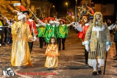 0144-2017-02-25-CARRI-CARNEVALE-MONTICHIARI