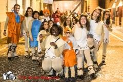 0264-2017-02-25-CARRI-CARNEVALE-MONTICHIARI