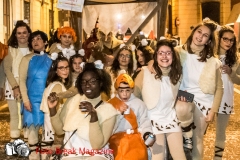 0265-2017-02-25-CARRI-CARNEVALE-MONTICHIARI