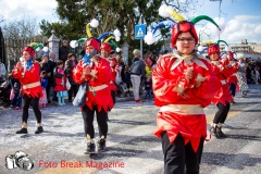 0036-2017-03-05-SFILATA-CARRI-CARNEVALE-LENO