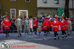 0174-2017-03-05-SFILATA-CARRI-CARNEVALE-LENO