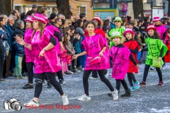 0283-2017-03-05-SFILATA-CARRI-CARNEVALE-LENO