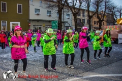 0290-2017-03-05-SFILATA-CARRI-CARNEVALE-LENO