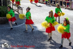 0038-2017-03-12-SFILATA-CARRI-CARNEVALE-BEDIZZOLE-PART-1