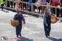 0056-2017-03-12-SFILATA-CARRI-CARNEVALE-BEDIZZOLE-PART-1