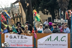 0101-2017-03-12-SFILATA-CARRI-CARNEVALE-BEDIZZOLE-PART-1