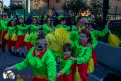 0022-2017-03-12-SFILATA-CARRI-CARNEVALE-BEDIZZOLE-PART-2