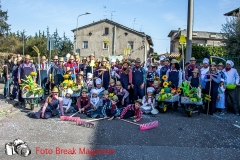 0054-2017-03-12-SFILATA-CARRI-CARNEVALE-BEDIZZOLE-PART-2