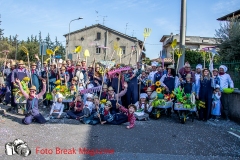 0056-2017-03-12-SFILATA-CARRI-CARNEVALE-BEDIZZOLE-PART-2