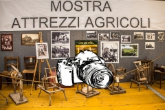 0002-2017-04-23-FESTA-ALBERELLE-MOSTRA-STORICA-0093