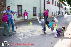 0088-2017-04-30-FESTA-ALBERELLE-GIOCHI-ALLAPERTO