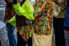 0042-2018-02-25-SFILATA-CARRI-CARNEVALE-BEDIZZOLE