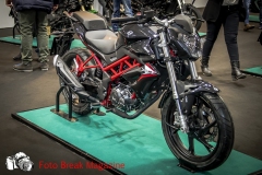 0037-2019-01-17-BIKE-EXPO-VERONA