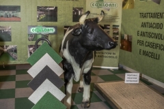 0071-2019-02-03-CENTRO-FIERA-FIERA-AGRICOLA