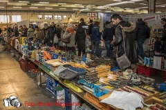 0151-2019-02-03-CENTRO-FIERA-FIERA-AGRICOLA