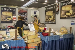 0173-2019-02-03-CENTRO-FIERA-FIERA-AGRICOLA