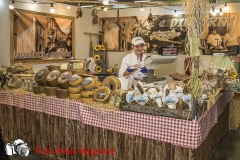 0178-2019-02-03-CENTRO-FIERA-FIERA-AGRICOLA