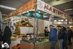 0205-2019-02-03-CENTRO-FIERA-FIERA-AGRICOLA