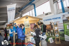 0211-2019-02-03-CENTRO-FIERA-FIERA-AGRICOLA