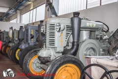 0215-2019-02-03-CENTRO-FIERA-FIERA-AGRICOLA