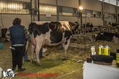 0229-2019-02-03-CENTRO-FIERA-FIERA-AGRICOLA