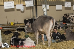 0232-2019-02-03-CENTRO-FIERA-FIERA-AGRICOLA