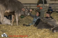 0235-2019-02-03-CENTRO-FIERA-FIERA-AGRICOLA