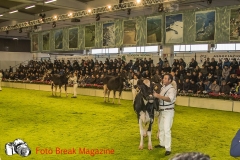 0237-2019-02-03-CENTRO-FIERA-FIERA-AGRICOLA