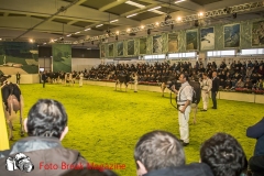 0238-2019-02-03-CENTRO-FIERA-FIERA-AGRICOLA