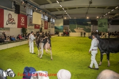 0239-2019-02-03-CENTRO-FIERA-FIERA-AGRICOLA