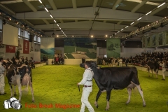 0240-2019-02-03-CENTRO-FIERA-FIERA-AGRICOLA