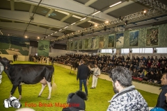 0241-2019-02-03-CENTRO-FIERA-FIERA-AGRICOLA