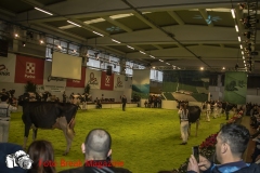 0242-2019-02-03-CENTRO-FIERA-FIERA-AGRICOLA