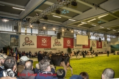 0244-2019-02-03-CENTRO-FIERA-FIERA-AGRICOLA