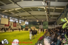 0245-2019-02-03-CENTRO-FIERA-FIERA-AGRICOLA