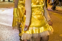 0065-2019-03-02-SFILATA-CARRI-CARNEVALE-MONTICHIARI