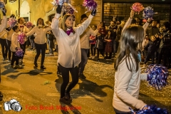 0087-2019-03-02-SFILATA-CARRI-CARNEVALE-MONTICHIARI