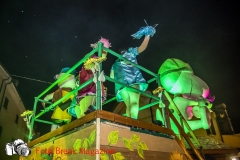 0139-2019-03-02-SFILATA-CARRI-CARNEVALE-MONTICHIARI