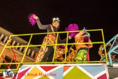 0162-2019-03-02-SFILATA-CARRI-CARNEVALE-MONTICHIARI