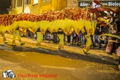 0181-2019-03-02-SFILATA-CARRI-CARNEVALE-MONTICHIARI