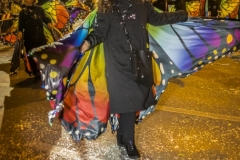 0209-2019-03-02-SFILATA-CARRI-CARNEVALE-MONTICHIARI