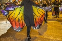 0212-2019-03-02-SFILATA-CARRI-CARNEVALE-MONTICHIARI