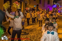 0262-2019-03-02-SFILATA-CARRI-CARNEVALE-MONTICHIARI