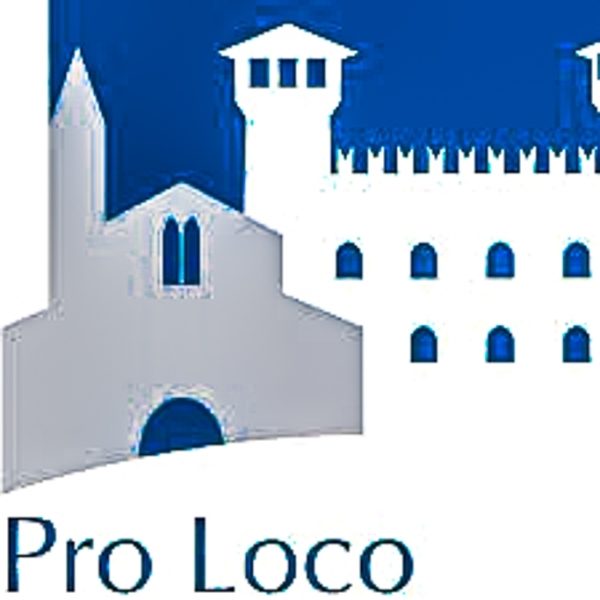 0002-2022-05-22-LOGO-PRO-LOCO-ONTICHIARI-PUBBLICITA-ALBUM